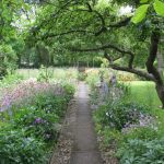 Der Kleingarten von Heinrich-Albert Heinzbert Klüter in der Kleingartenkolonie Meisenburg III