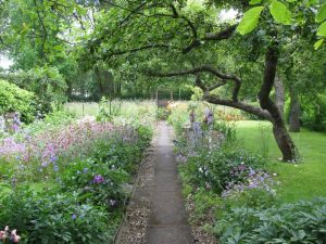 Der Kleingarten von Heinrich-Albert Heinzbert Klüter in der Kleingartenkolonie Meisenburg III