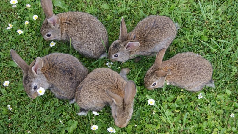 Gute Noten garantieren (k)einen Job